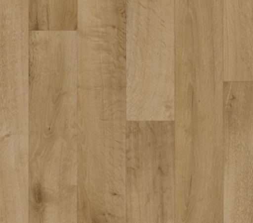 Elast 40 Concept 8003